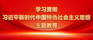 小男生鸡巴大操小姐的逼逼猛操学习贯彻习近平新时代中国特色社会主义思想主题教育_fororder_ad-371X160(2)